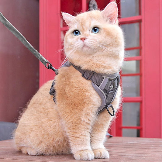 Cat Leash Vest